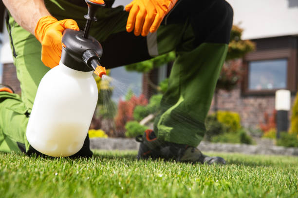 Best Flea Control Services  in Reliez Valley, CA