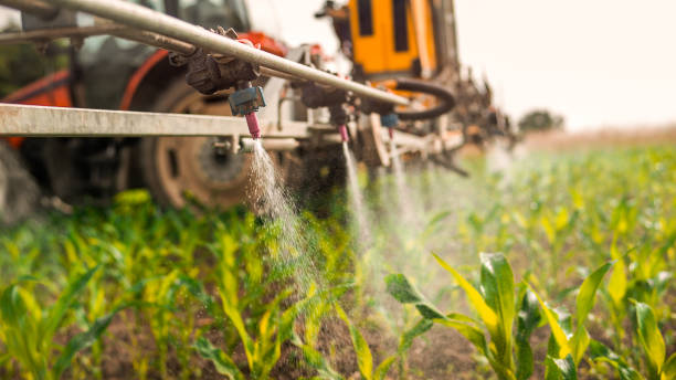 Best Pest Control for Homes  in Reliez Valley, CA
